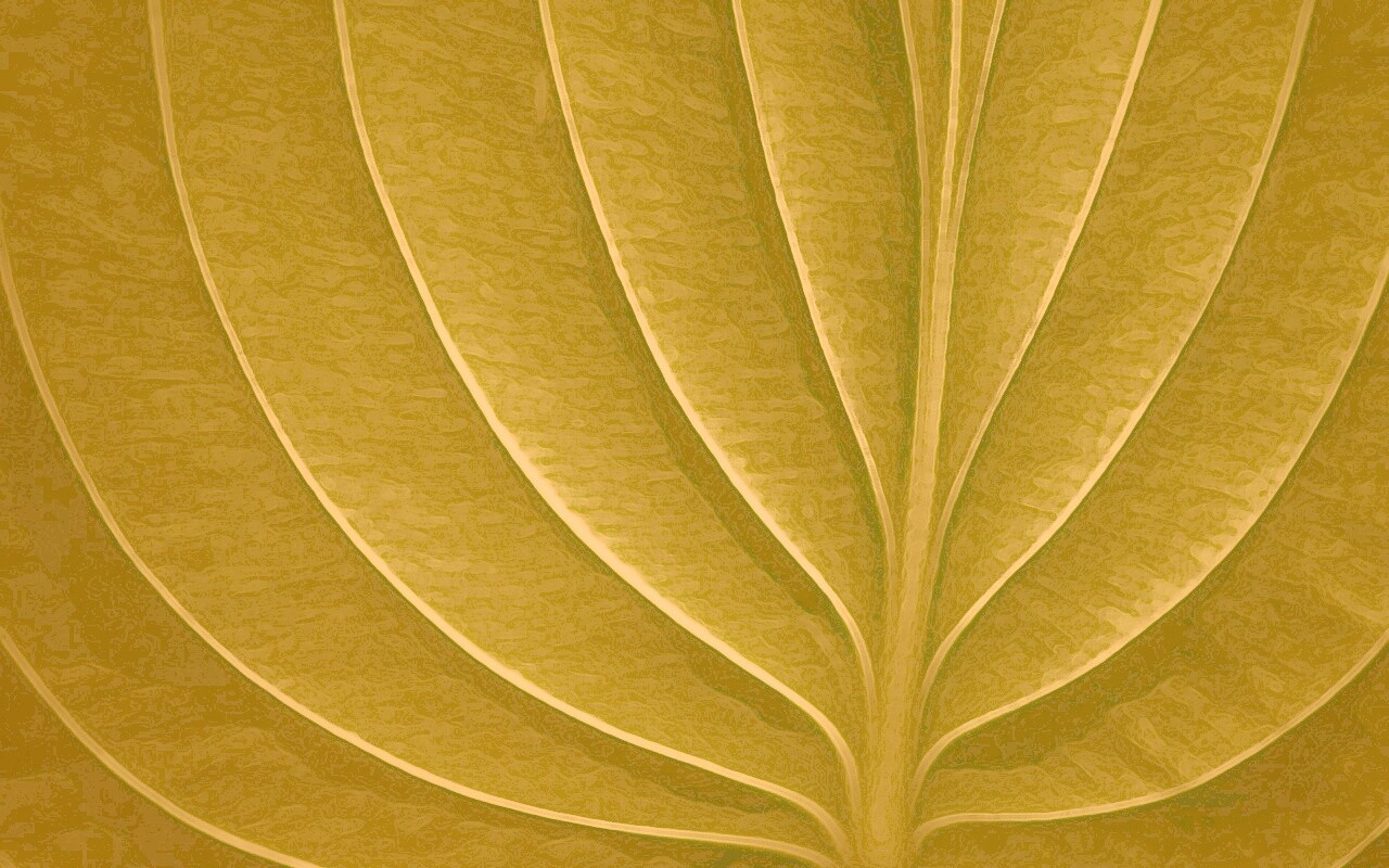 Неоновый лист обои