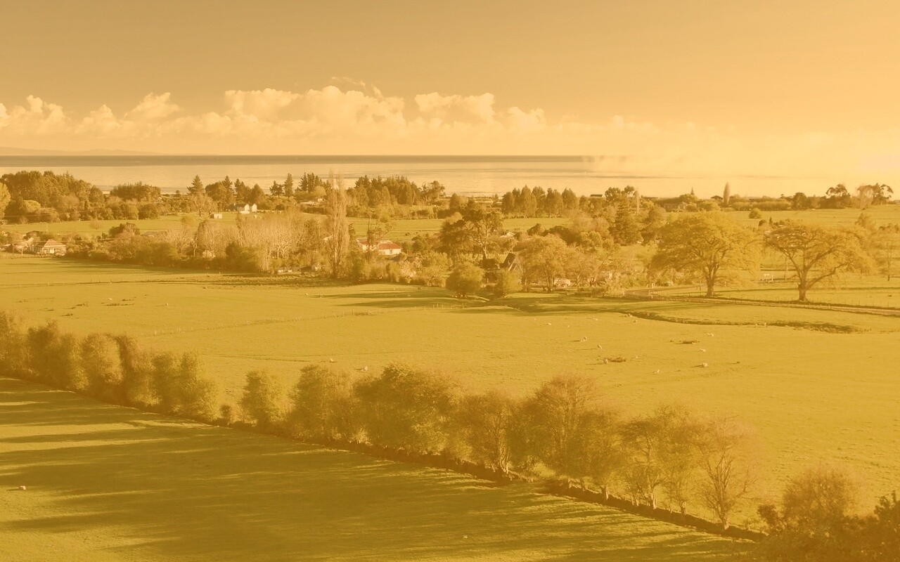 Сельская природа обои