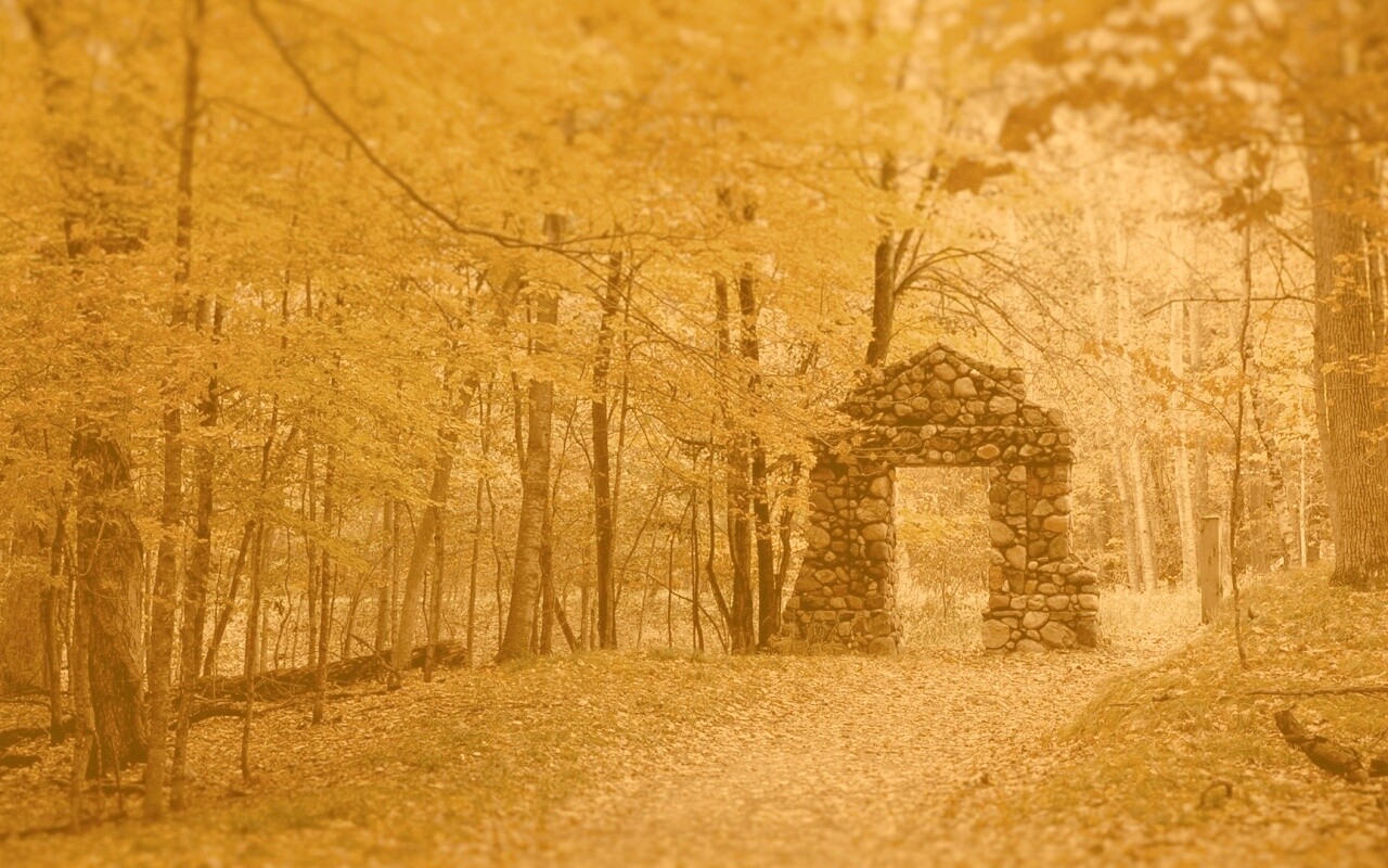 Каменная арка в осеннем лесу обои