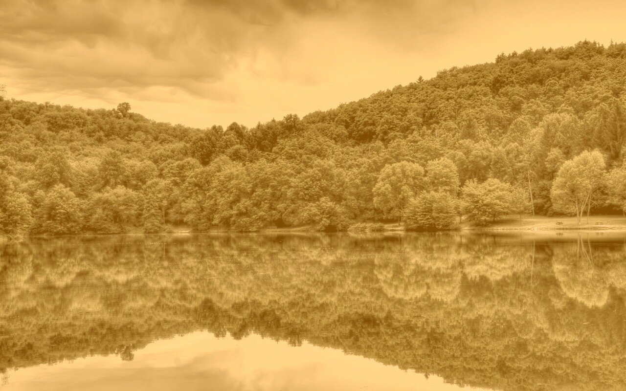 Лесной берег обои