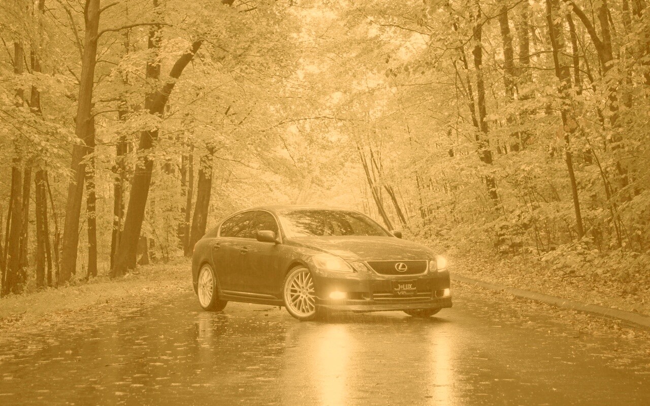 Лексус на лесной дороге обои