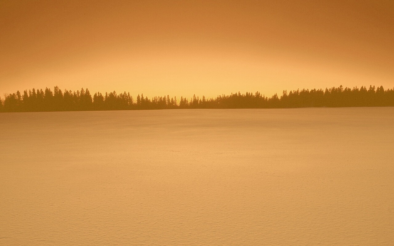 Восход над заснеженным лесом обои