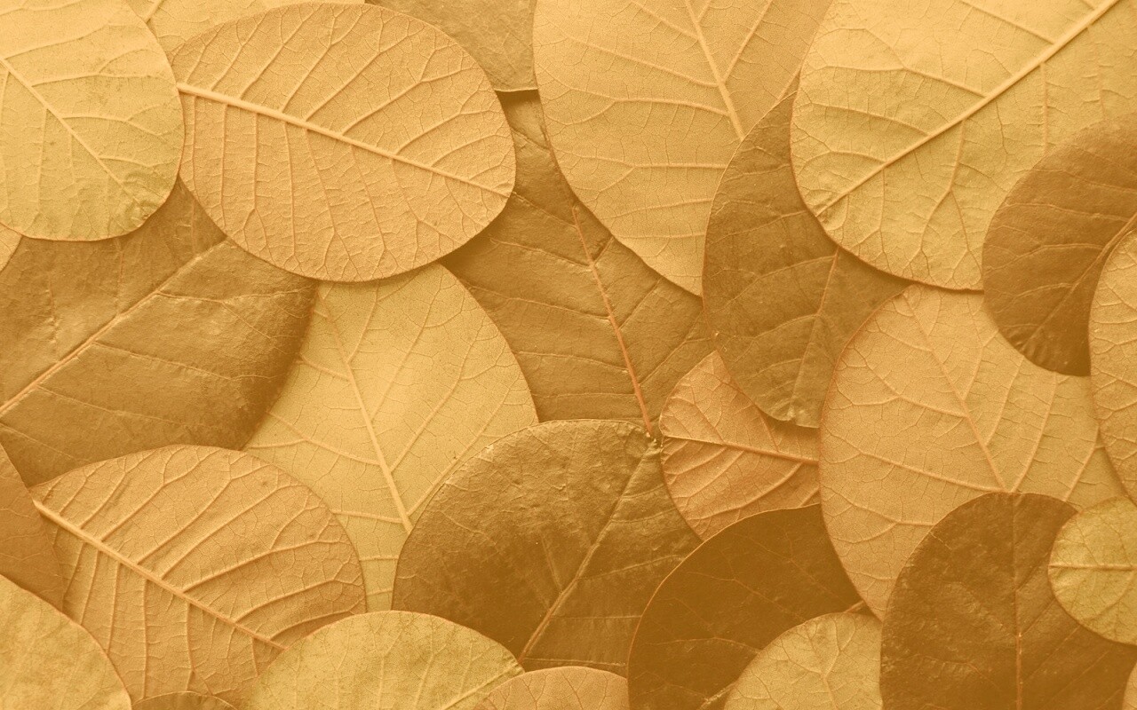 Лиственный узор обои