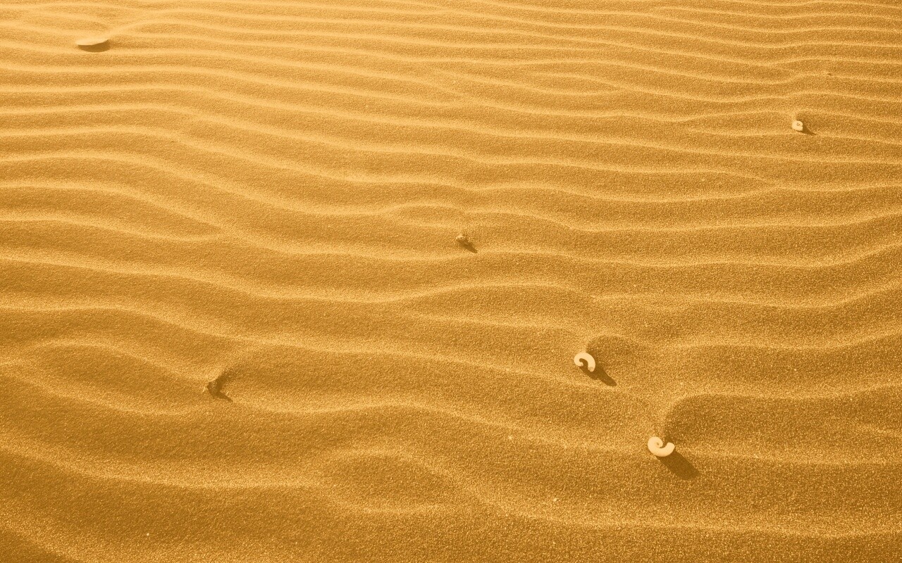 Песок и раковины обои