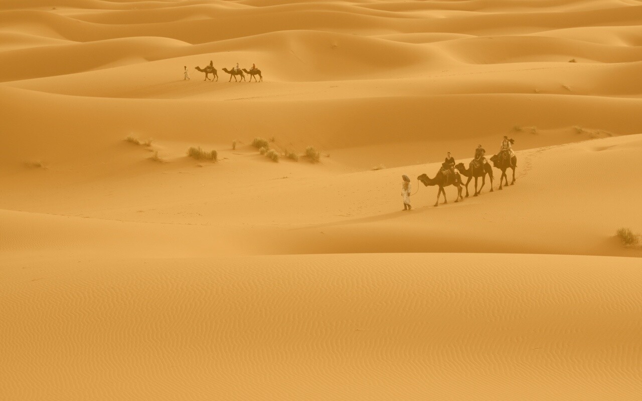 Караваны пустыни обои