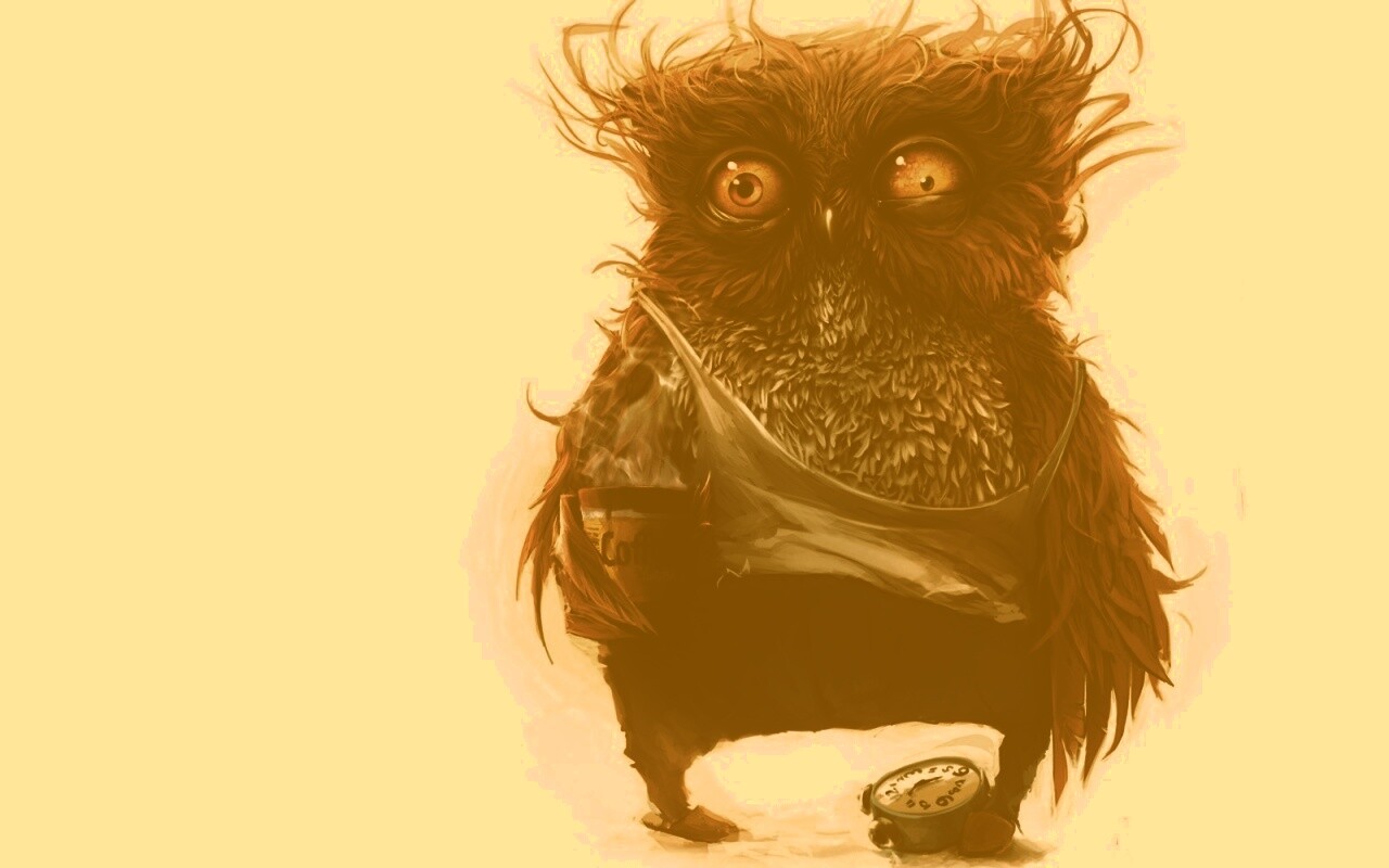 Не спящая сова обои