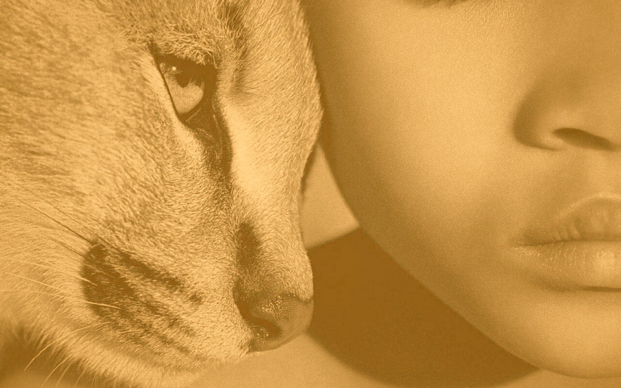 Человек и природа обои