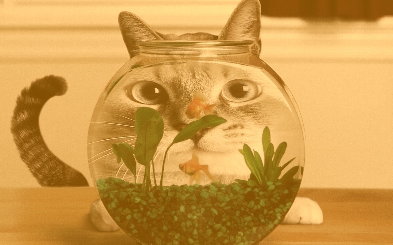 Сферический код за аквариумом обои