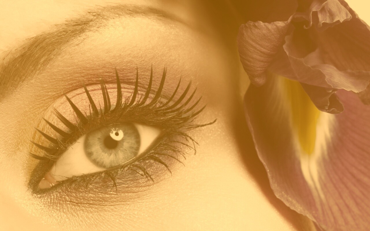 Макияж и цветок обои