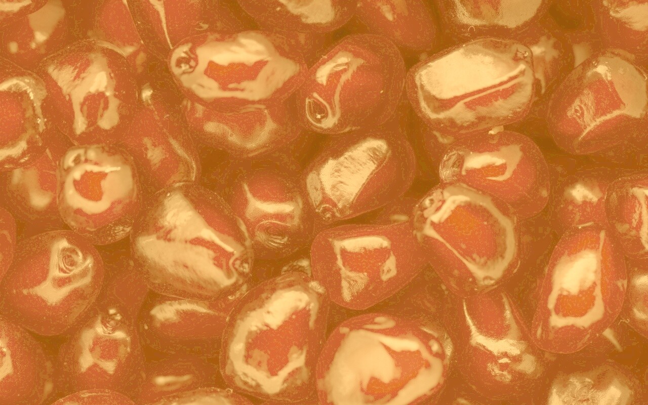 Ядра граната обои