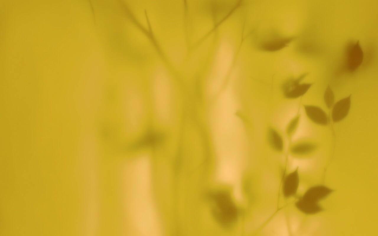 Зелень за стеклом обои