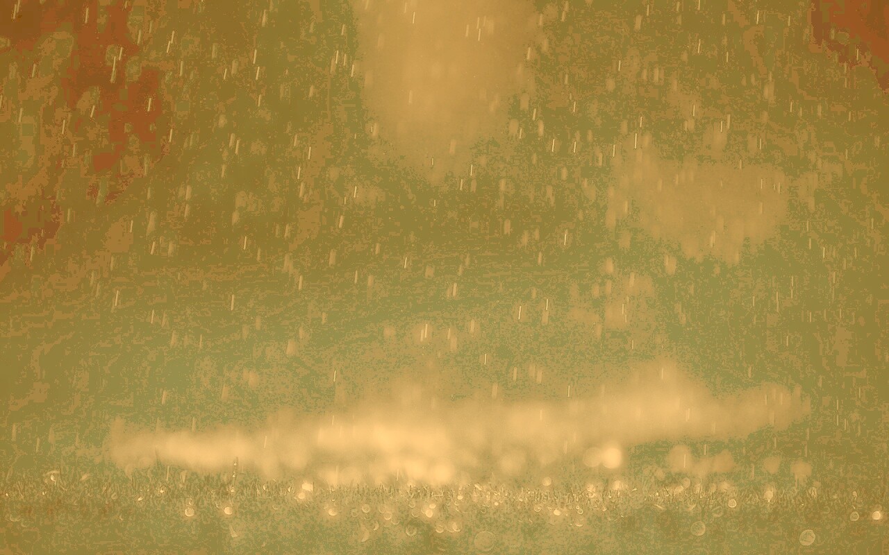 Макро фото дождя обои