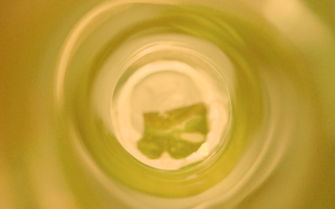 Зеленая бутылка обои