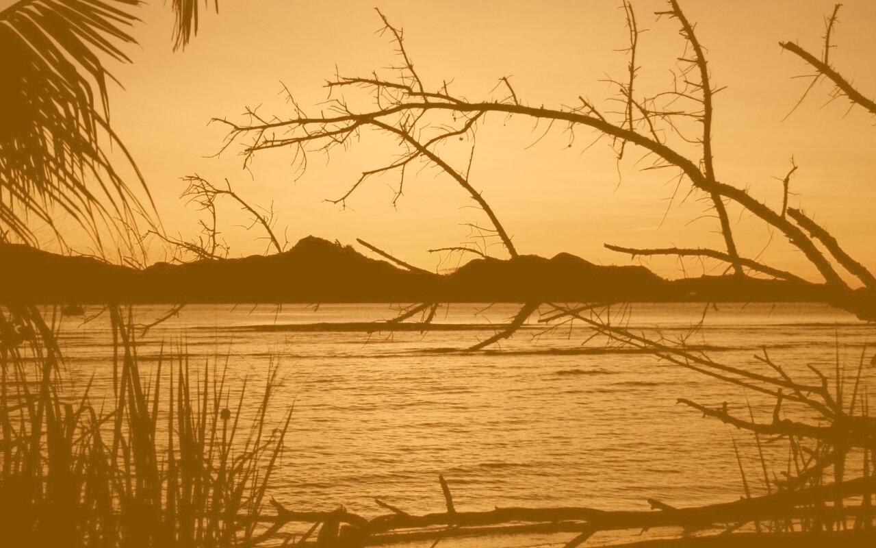 Тропический закат обои