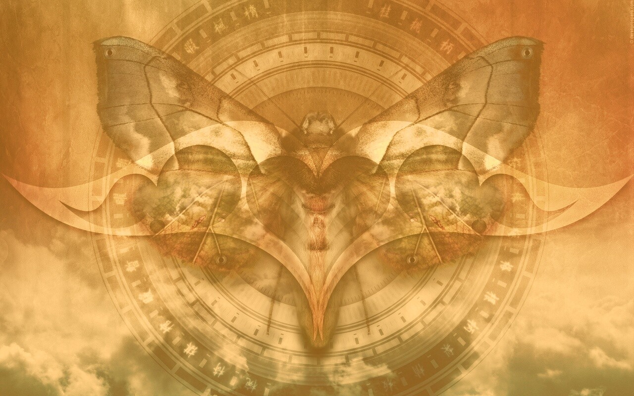 Красивая фэнтезийная бабочка обои