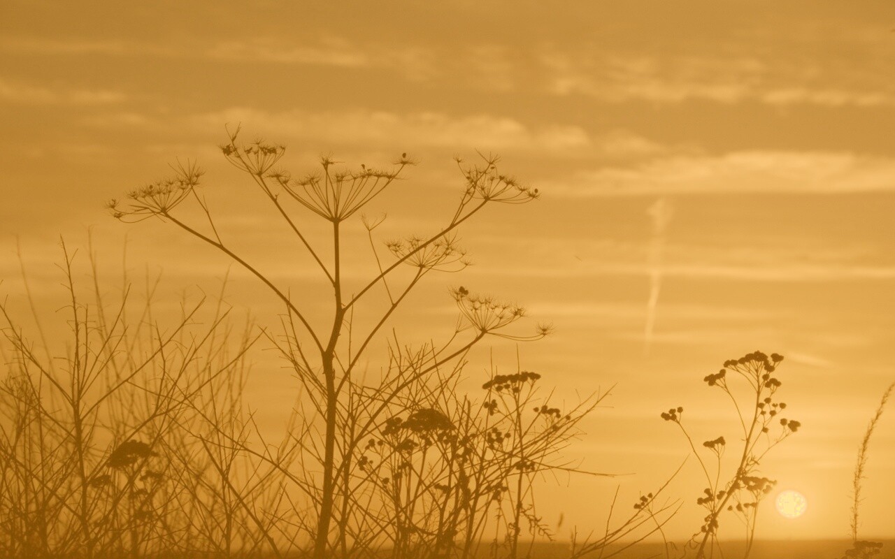 Степной закат обои