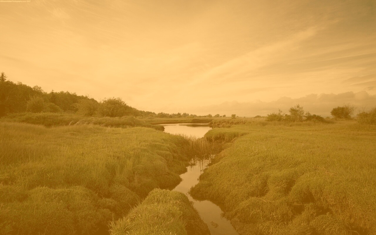 Канава и пруд обои