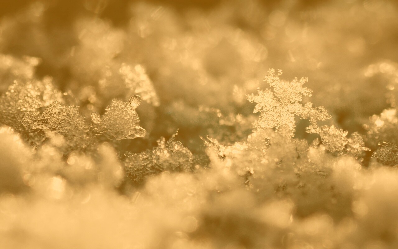 Макро фото снега обои