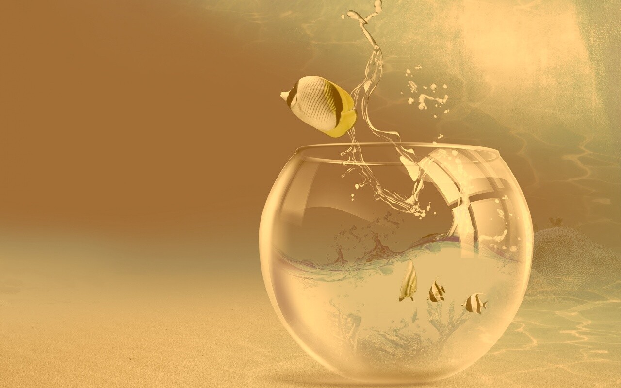 Аквариум с рыбками обои