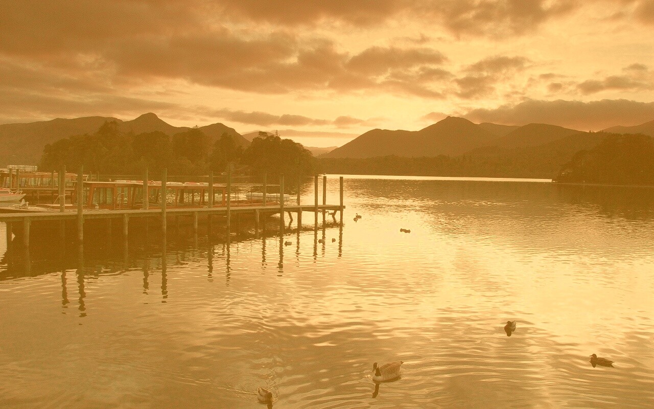 Причал на озере и утки обои