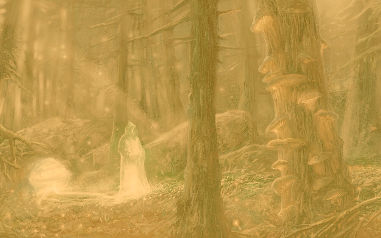 Маг света в лесу обои