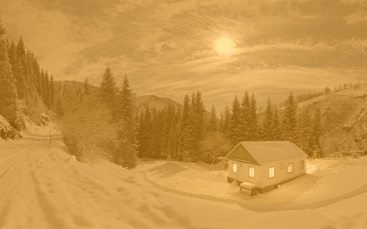 Один в зимнем лесу обои