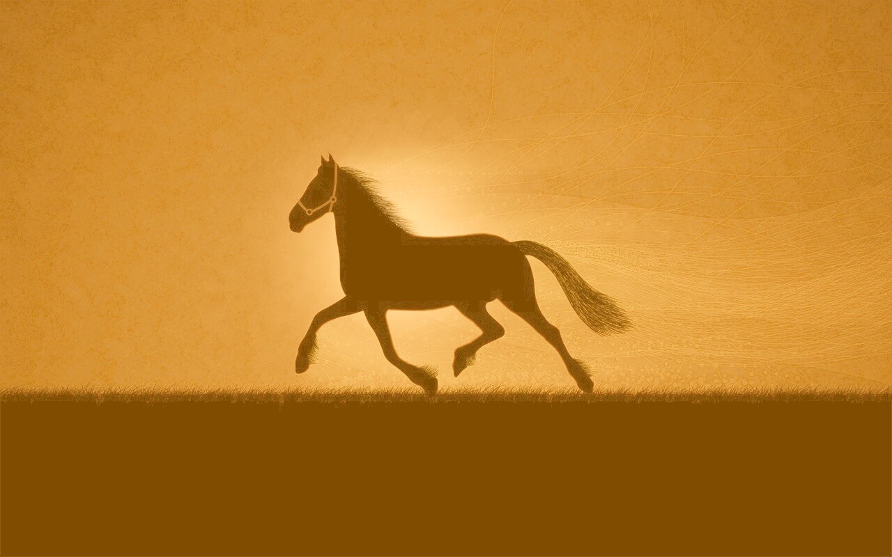 Силует коня на закате обои