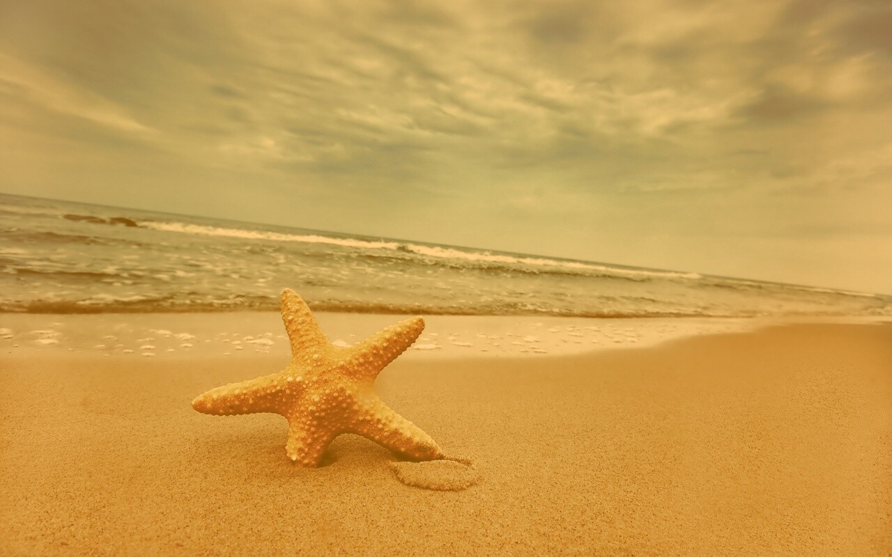 Морская звезда в песке обои