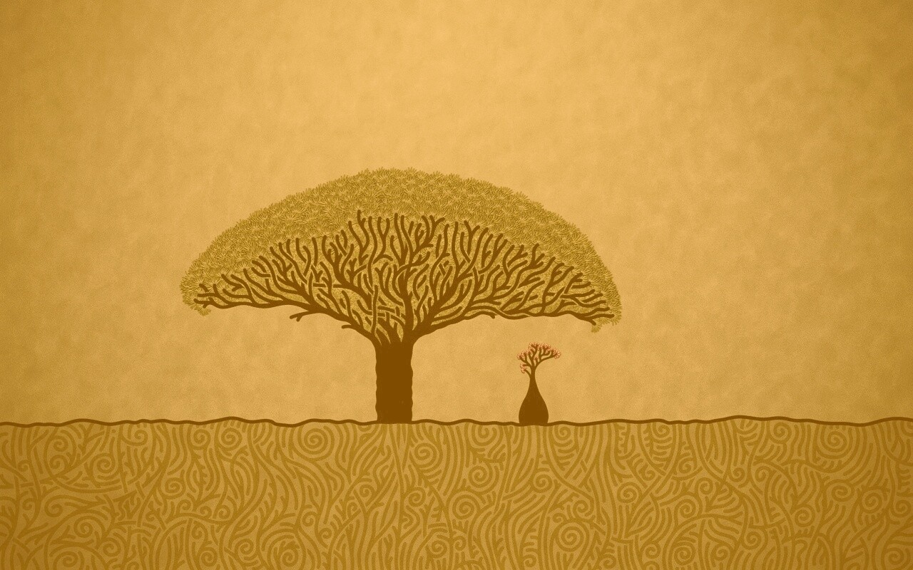 Нарисованное деревце обои