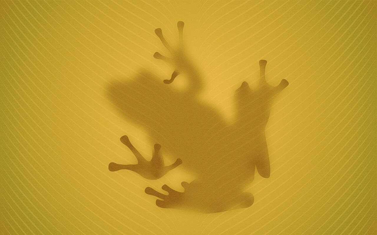 Силуэт лягушки просвечивает сквозь зеленый лист обои