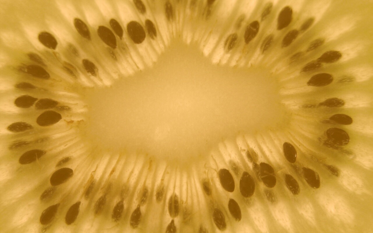 Макро фото киви в разрезе обои