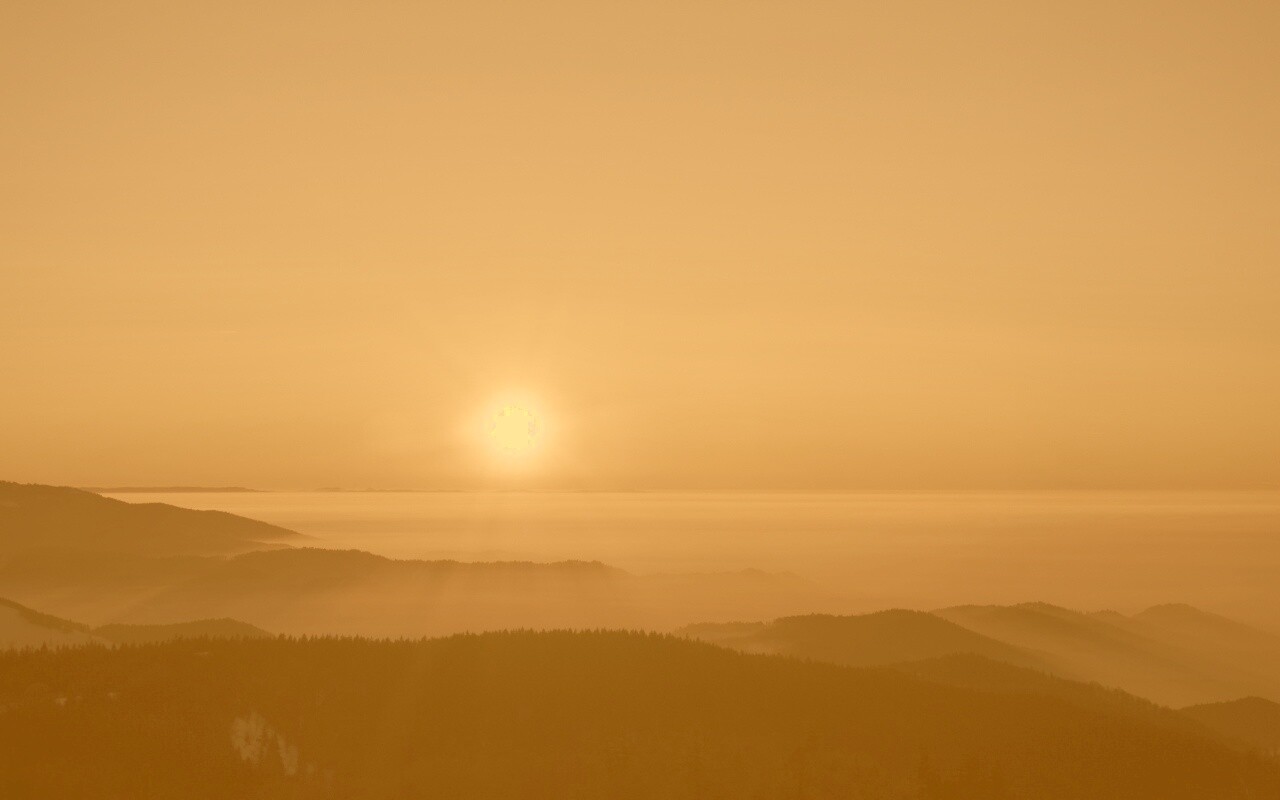 Восход солнца над лесом обои