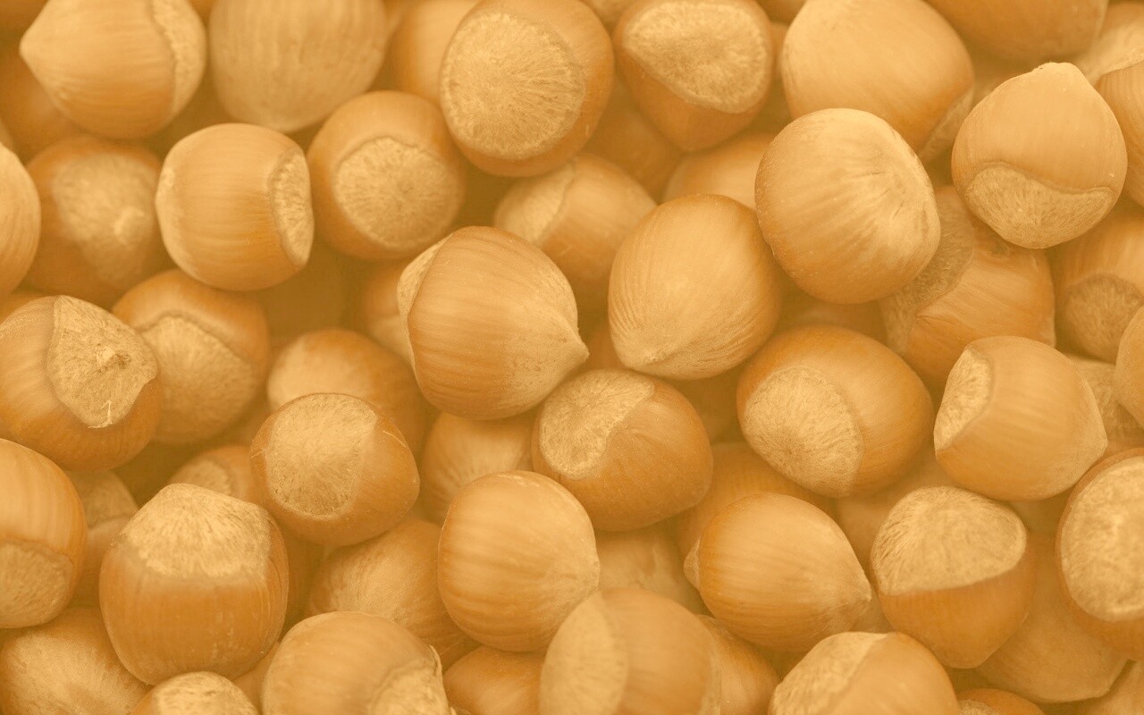 Фундук обои