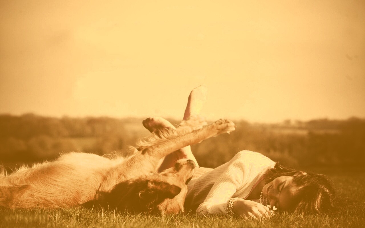 Девушка и собака валяются на траве обои