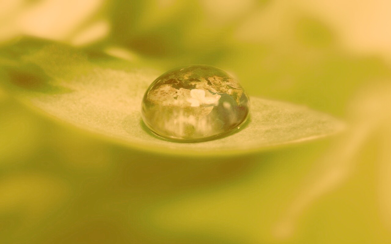 Целый мир в капле воды обои