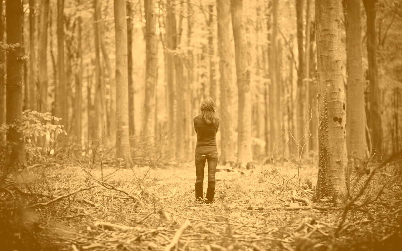 Одна в лесу обои