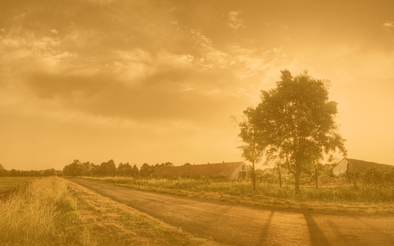 Закат на фоне дерева в HDR обои