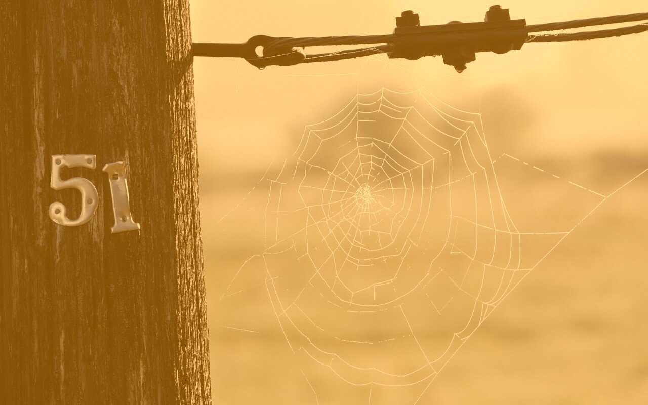 Паутина 51 обои