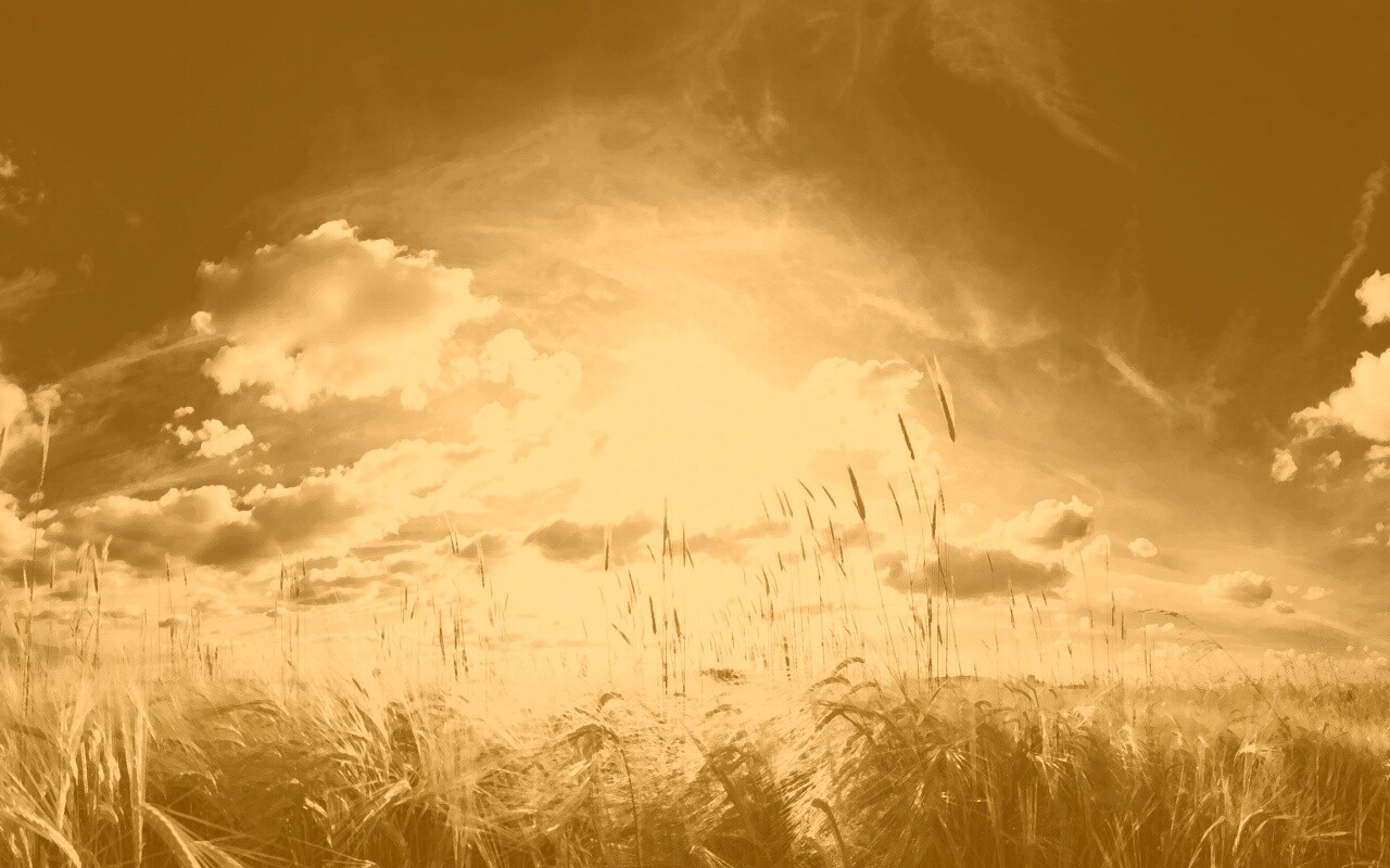 Сюрреалистичная трава обои