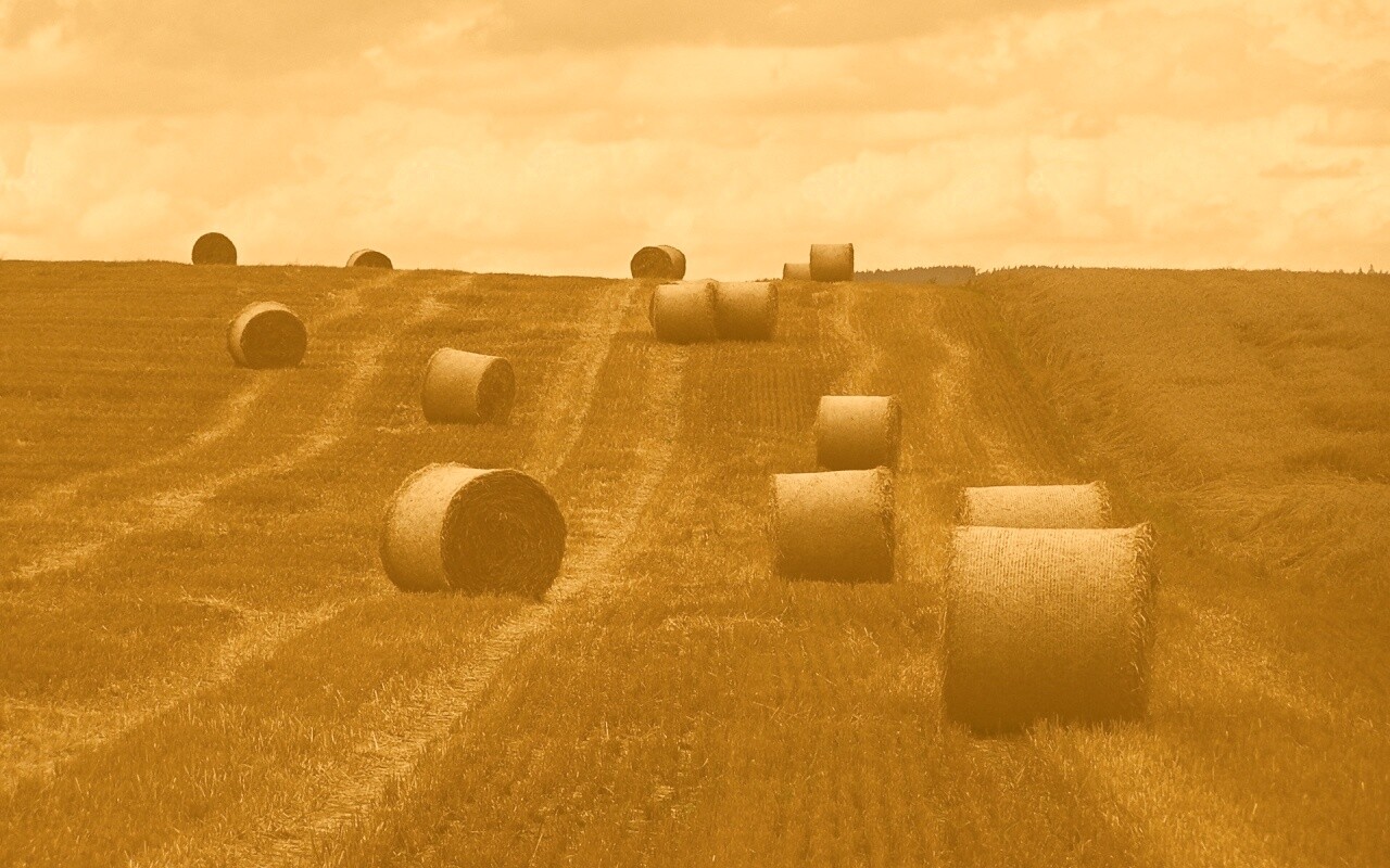 Уборка сена с поля обои