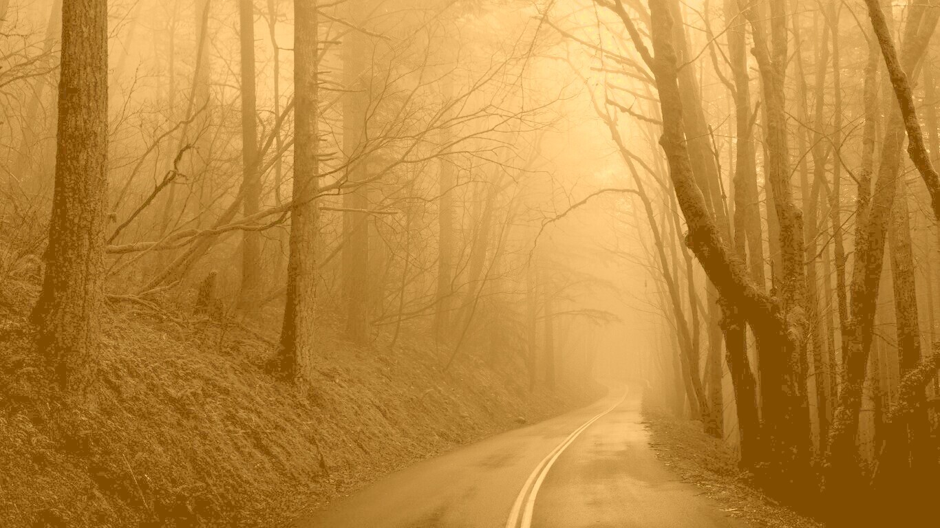 В туман обои