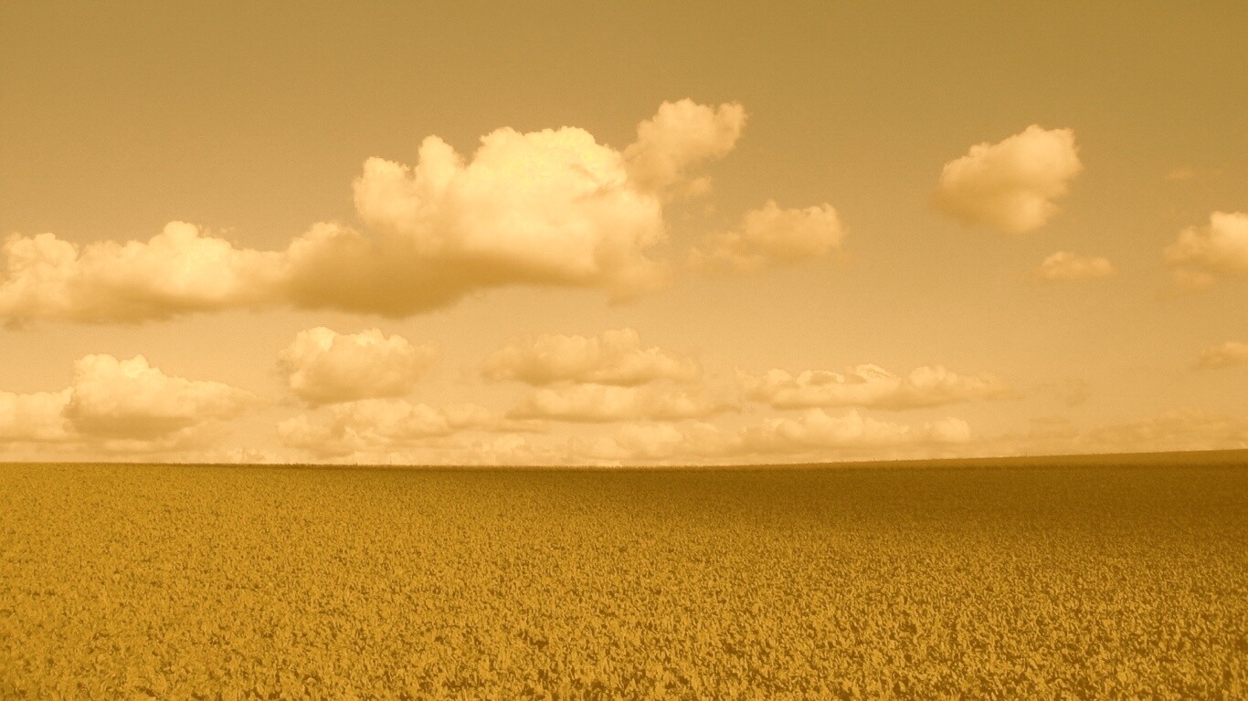 Обака над бескрайними полями обои