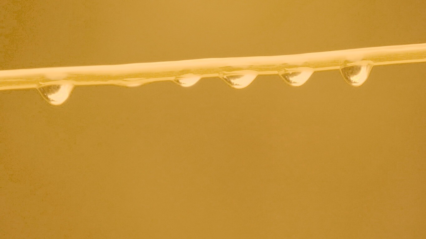 Капли на соломинке обои