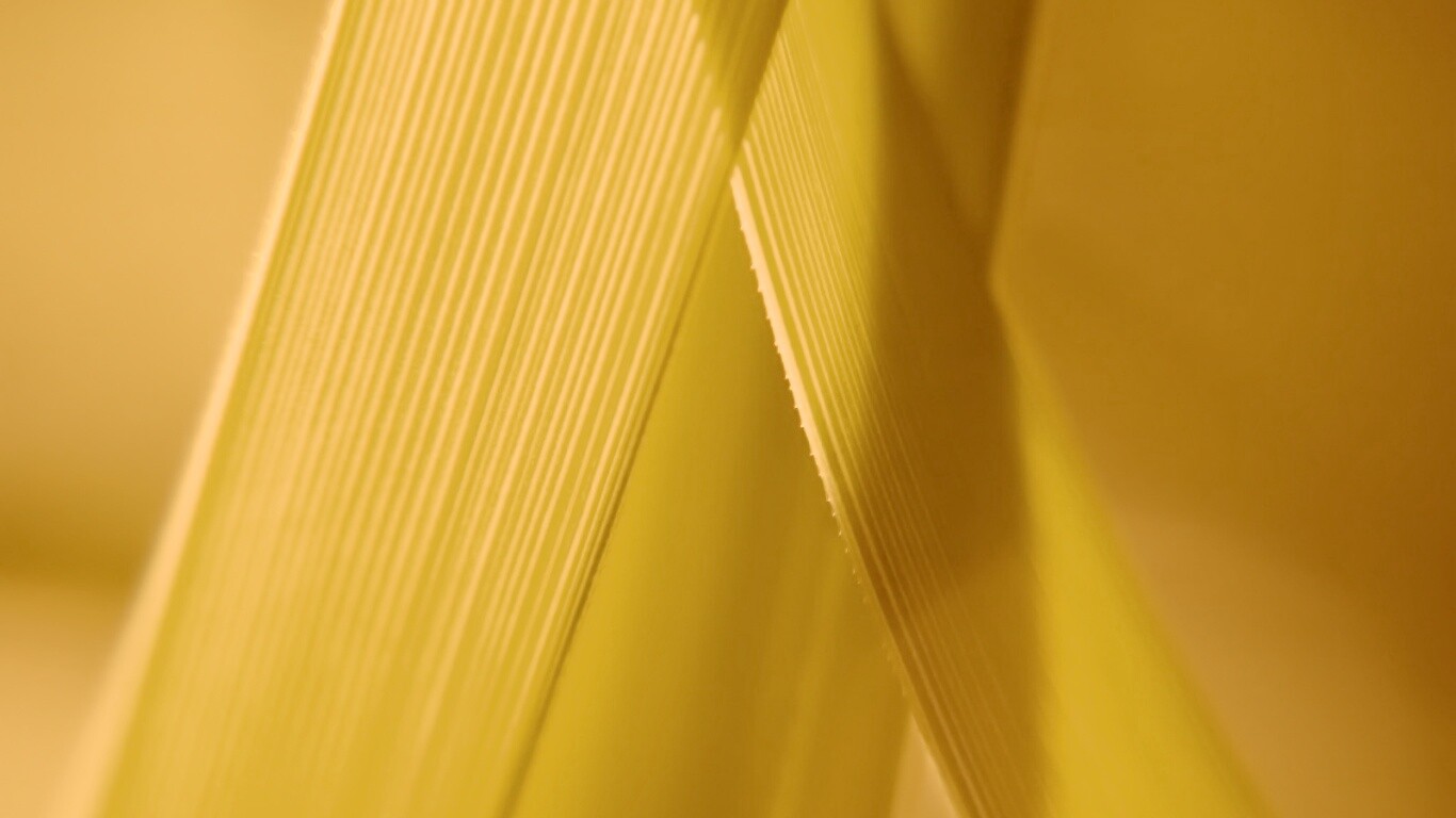 Травинки на свету обои