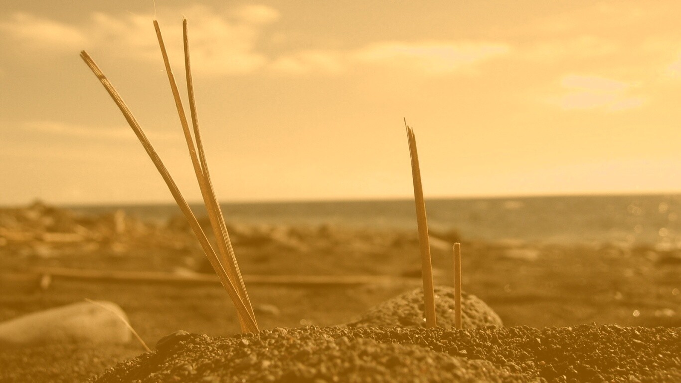 Солома на океанском берегу обои