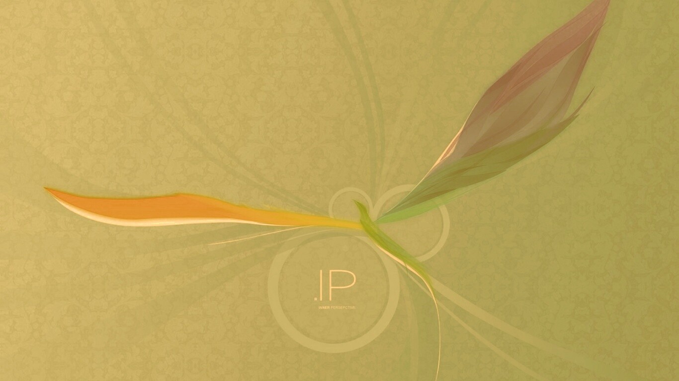 Силуэт птицы обои