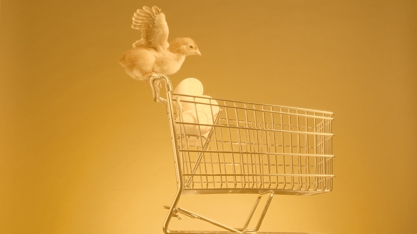 Цыплёнок покупает яйца обои