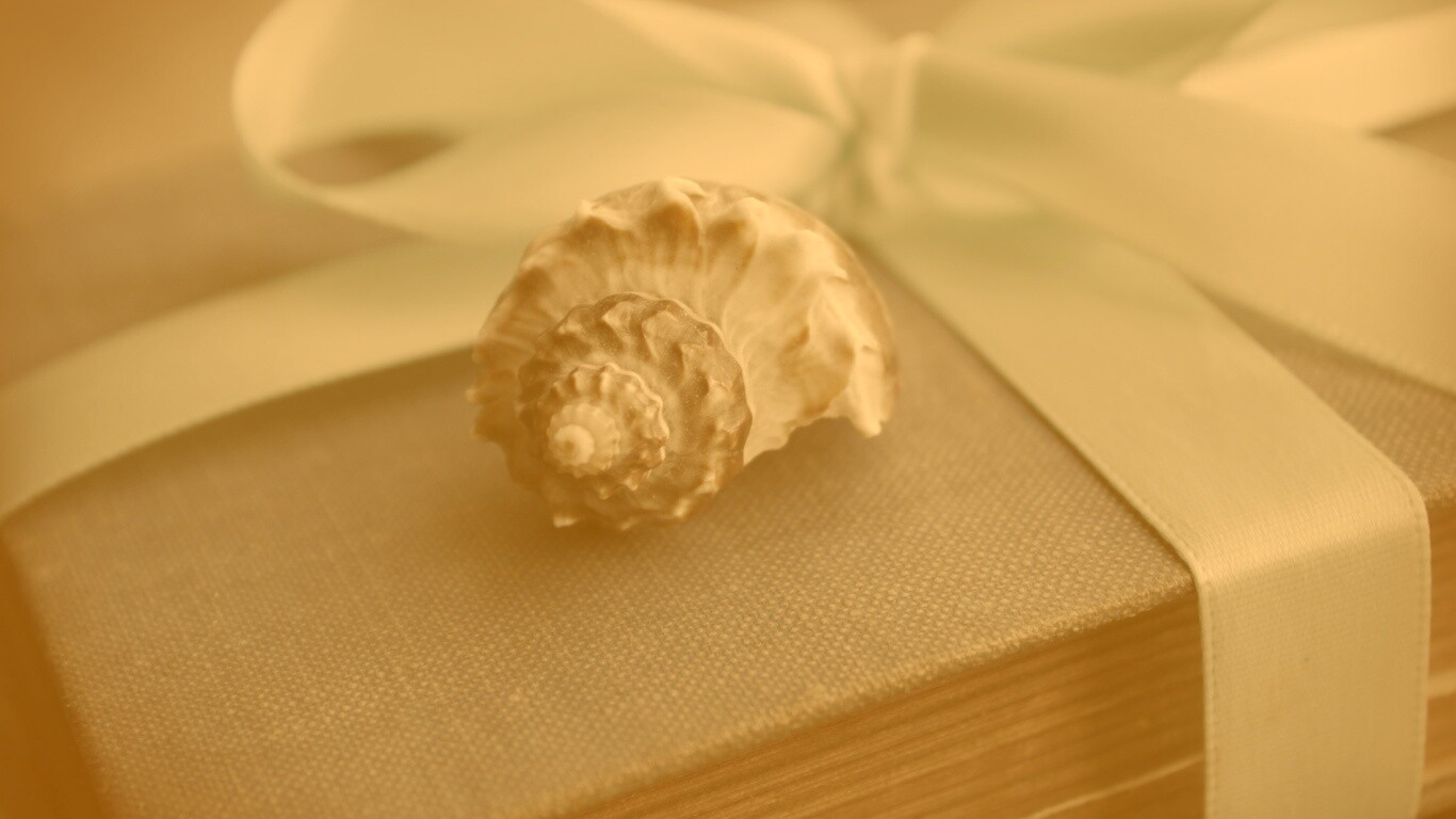 Ракушка на подарочном альбоме обои