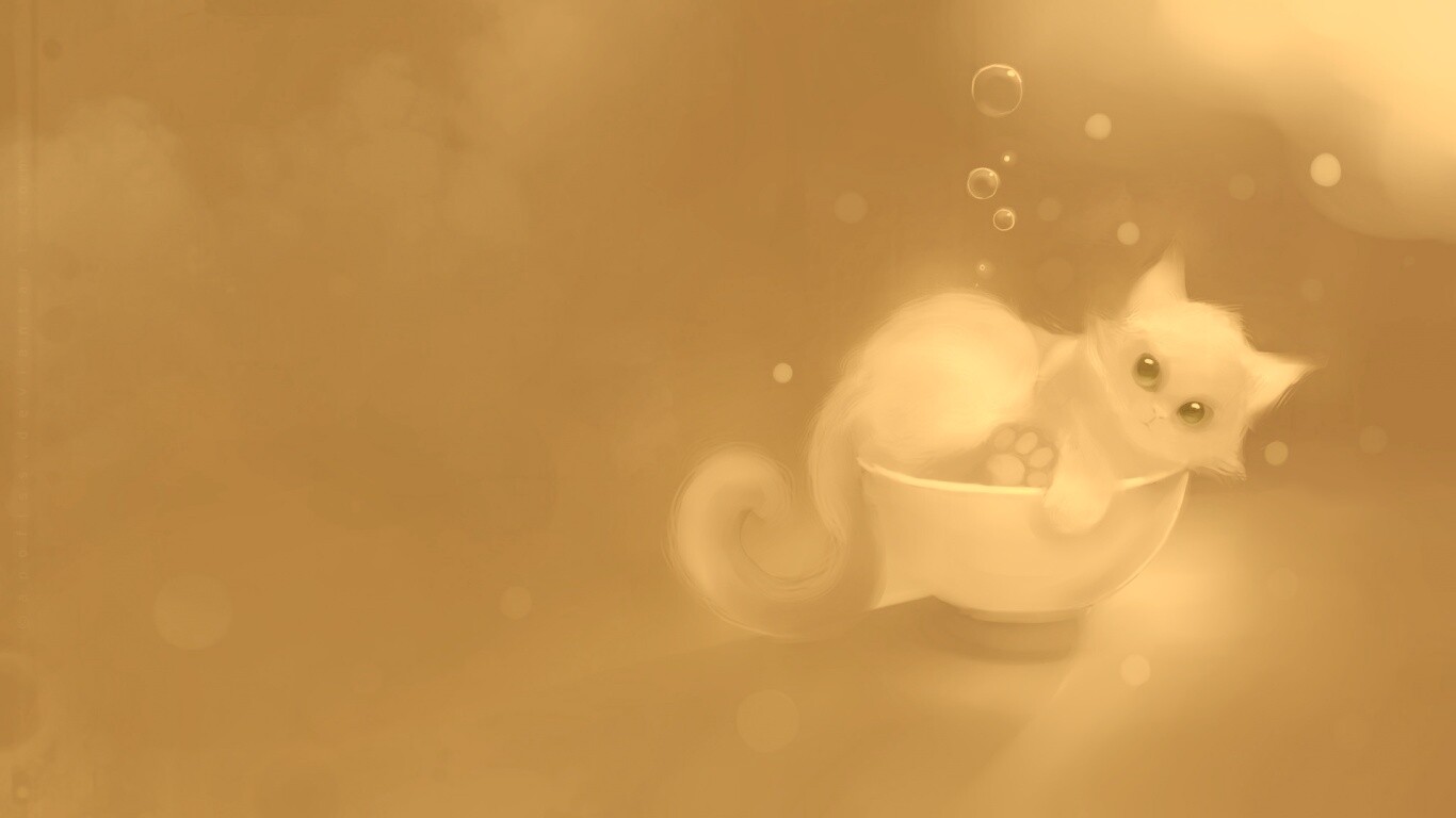 Котёнок в миске обои