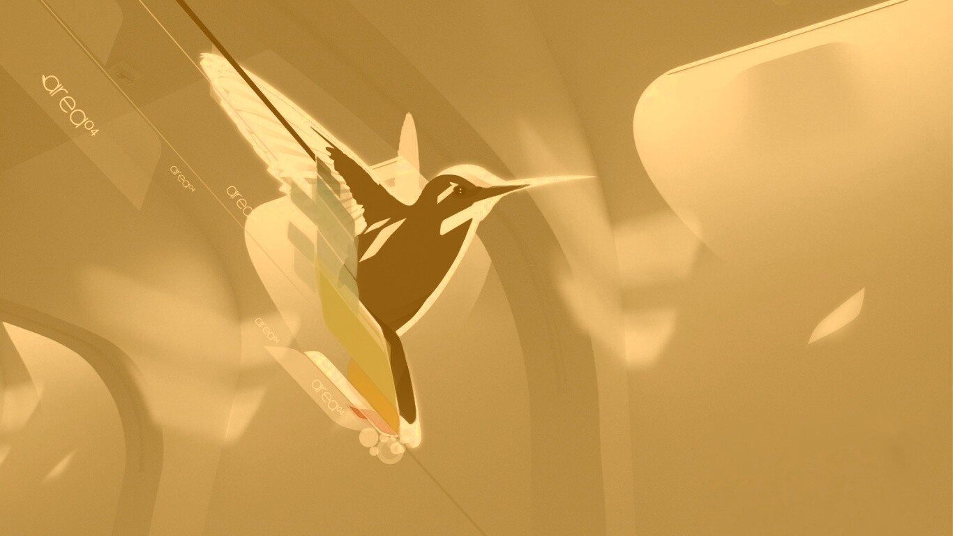 Логотип-колибри обои